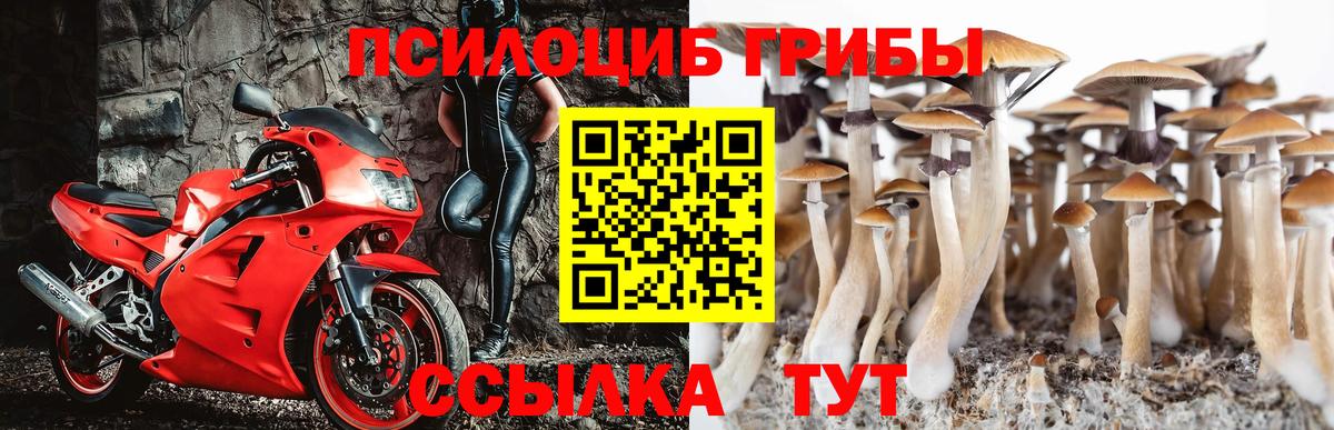 Псилоцибиновые грибы Magic Shrooms Феодосия