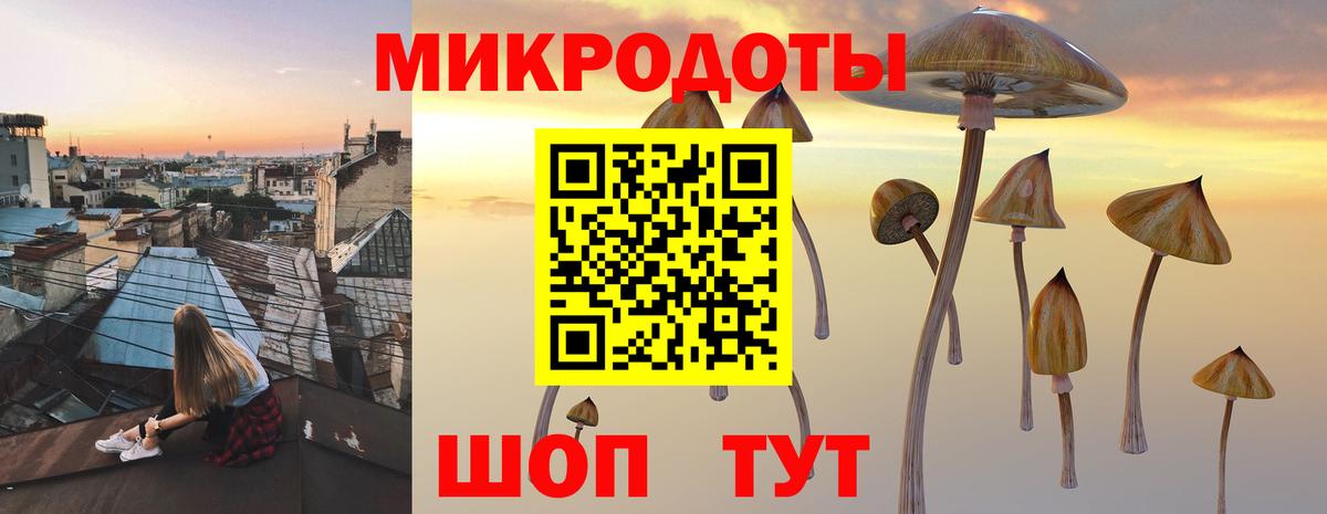Феодосия  Псилоцибиновые грибы мухоморы  Вход с VPN  Псилоцибиновые грибы Psilocybe 